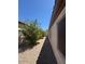 A low maintenance side yard featuring drought-tolerant landscaping and a walkway at 18455 W San Carlos Dr, Goodyear, AZ 85338