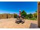 Backyard patio area offers a picnic table, grill, and well-maintained landscaping under a clear blue sky at 3614 W Phillips Rd, San Tan Valley, AZ 85144