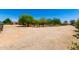 Extensive backyard area features a wide-open space with desert landscaping, trees, and beautiful, clear blue skies at 3614 W Phillips Rd, San Tan Valley, AZ 85144