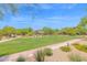 Beautiful community park with lush green grass, walking paths and desert landscaping at 3977 E Cat Balue Dr, Phoenix, AZ 85050