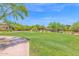 Lush green community park featuring walking paths, trees and landscaping at 3977 E Cat Balue Dr, Phoenix, AZ 85050