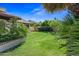 Well-kept backyard with lush green lawn, flowering bushes, and mature palm trees at 7526 W Cheryl Dr, Peoria, AZ 85345