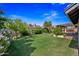 Lush backyard featuring a well-maintained lawn and a variety of plants and trees at 7526 W Cheryl Dr, Peoria, AZ 85345