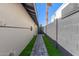 Paver walkway and grass between house and block wall, palm tree, and drought tolerant landscaping at 8119 E San Miguel Ave, Scottsdale, AZ 85250