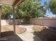 Private backyard with lush green trees and shade at 11109 W Amelia Ave, Avondale, AZ 85392