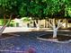 Spacious backyard featuring desert landscaping, mature trees, and a covered patio, ideal for relaxation and entertaining at 11653 N Hacienda Dr, Sun City, AZ 85351