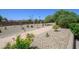 Scenic view of a lovely desert-landscaped walkway featuring rock, trees, and colorful desert plants at 16287 W Willow Creek Ln, Surprise, AZ 85374