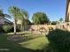 Secluded backyard with fenced pool, well-maintained lawn, mature trees, and privacy landscaping at 2092 E Smoke Tree Rd, Gilbert, AZ 85296