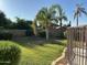 Green backyard featuring a well-maintained lawn at 2092 E Smoke Tree Rd, Gilbert, AZ 85296