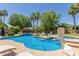Beautiful backyard with a sparkling blue pool, lush greenery, and comfortable lounge chairs at 2438 S Chestnut Pl, Chandler, AZ 85286