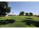 Expansive community green space with mature trees and palm trees in the distance at 2650 W Union Hills Dr # 169, Phoenix, AZ 85027