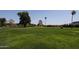 Scenic golf course view with lush green grass and mature trees, perfect for golfers at 2650 W Union Hills Dr # 169, Phoenix, AZ 85027