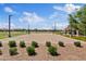 Volleyball court surrounded by grassy areas and landscaping is a fun and social outdoor space for recreation at 2898 E Kim Dr, San Tan Valley, AZ 85143