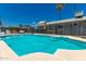 Large in-ground pool, well-maintained patio area, and backyard provide the perfect outdoor living space at 3447 E Dolphin Ave, Mesa, AZ 85204