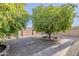 The backyard of this home offers fruit trees, lush landscaping, and a gravel area for relaxation at 3925 E Elmwood St, Mesa, AZ 85205