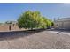 A spacious backyard with desert landscaping, several mature citrus trees, and a covered patio area for outdoor entertaining at 3925 E Elmwood St, Mesa, AZ 85205