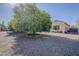 A wide shot of a spacious backyard featuring mature citrus trees in desert landscaping and the home's exterior at 3925 E Elmwood St, Mesa, AZ 85205