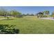 Inviting green grass volleyball court and picnic area great for gatherings and recreational play at 3925 E Elmwood St, Mesa, AZ 85205