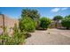 The backyard features desert landscaping, beautiful plants, and a charming brick border at 3994 E Grand Canyon Pl, Chandler, AZ 85249