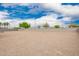 Expansive gravel backyard offers ample space and privacy, surrounded by a block wall with trees and sky at 4061 N 308Th Ln, Buckeye, AZ 85396