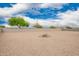 Spacious gravel backyard with block wall, mature trees, and a decorative rock fire pit area at 4061 N 308Th Ln, Buckeye, AZ 85396