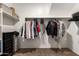 Spacious walk-in closet with shelves, hanging rods, and carpet flooring at 4061 N 308Th Ln, Buckeye, AZ 85396