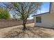A gravel backyard with a mature shade tree and privacy wall at 4347 E Catalina Cir, Mesa, AZ 85206