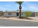 Charming single-story home with desert landscaping, palm trees, and inviting curb appeal at 4347 E Catalina Cir, Mesa, AZ 85206