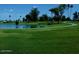 Scenic golf course with a tranquil pond and meticulously maintained green grass at 4347 E Catalina Cir, Mesa, AZ 85206