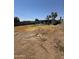 The back yard features dead grass and sparse landscaping at 2045 E Orange St, Tempe, AZ 85281