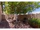 Tranquil backyard featuring mature trees, cozy seating area, and easy-to-maintain landscape at 20769 N 106Th Ln, Peoria, AZ 85382