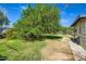 The backyard is spacious, featuring mature trees that offer ample shade, and lush grass, ideal for outdoor activities at 3944 E Oak St, Phoenix, AZ 85008