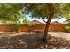 Backyard featuring desert landscaping, mature trees, a raised garden bed, and a privacy fence at 42551 W Anne Ln, Maricopa, AZ 85138