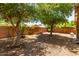 Backyard featuring desert landscaping, mature trees, a raised garden bed, and a privacy fence at 42551 W Anne Ln, Maricopa, AZ 85138