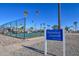 Community pickleball courts with nets, court lines, and surrounding palm trees beneath a sunny sky at 701 S Dobson Rd # 447, Mesa, AZ 85202