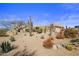 Southwestern home showcasing desert landscaping, native plants, and a charming, low-maintenance front yard at 9802 E Hidden Valley Rd, Scottsdale, AZ 85262
