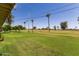 Backyard featuring a golf course view, lush green grass, palm trees, and mature trees at 10621 W Oakmont Dr, Sun City, AZ 85351
