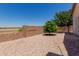 Private backyard with desert landscaping, mature trees, and block wall, offers tranquility at 11691 W Cactus Wren Ct, Surprise, AZ 85378