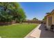 Backyard featuring artificial grass, mature trees, and a seating area perfect for entertaining at 3821 N 125Th Dr, Avondale, AZ 85392