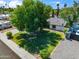 Charming front yard with a mature tree offering shade and a well-manicured lawn at 4837 E Pershing Ave, Scottsdale, AZ 85254