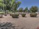 Outdoor basketball court surrounded by green trees and tidy landscaping in a neighborhood park at 9233 E Neville Ave # 1011, Mesa, AZ 85209