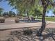 Community playground featuring a playset, benches, bike racks, shade trees, and grassy fields at 9233 E Neville Ave # 1011, Mesa, AZ 85209