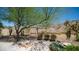 Lush backyard with a large tree, desert plants, and serene desert views at 116 E Mountain Sky Ave, Phoenix, AZ 85048