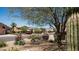 Scenic neighborhood street featuring mature desert landscaping and mountain views at 116 E Mountain Sky Ave, Phoenix, AZ 85048