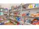 Walk-in pantry with shelving stocked with groceries and household supplies at 116 E Mountain Sky Ave, Phoenix, AZ 85048
