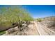 Spacious backyard featuring desert landscaping and secure fencing at 116 E Mountain Sky Ave, Phoenix, AZ 85048