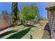 Backyard features mature landscaping, a grassy lawn, and privacy fencing, creating a serene outdoor space at 5902 E Juniper Ave, Scottsdale, AZ 85254