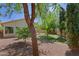 Backyard with mature landscaping and a glimpse of the covered patio and well-maintained lawn at 5902 E Juniper Ave, Scottsdale, AZ 85254