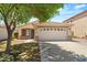 Welcoming home with a two-car garage, verdant lawn, and a mature tree providing shade at 817 E Lamonte St, San Tan Valley, AZ 85140