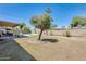 Expansive backyard featuring a pool, covered patio, mature trees, and ample space at 856 N Evergreen St, Chandler, AZ 85225